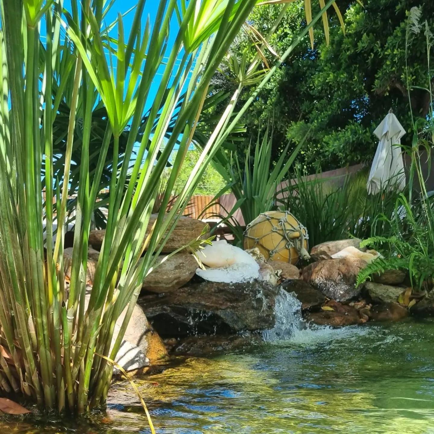 Pousada Pedra Da Lagoa Itacimirim Camaçari Exterior foto