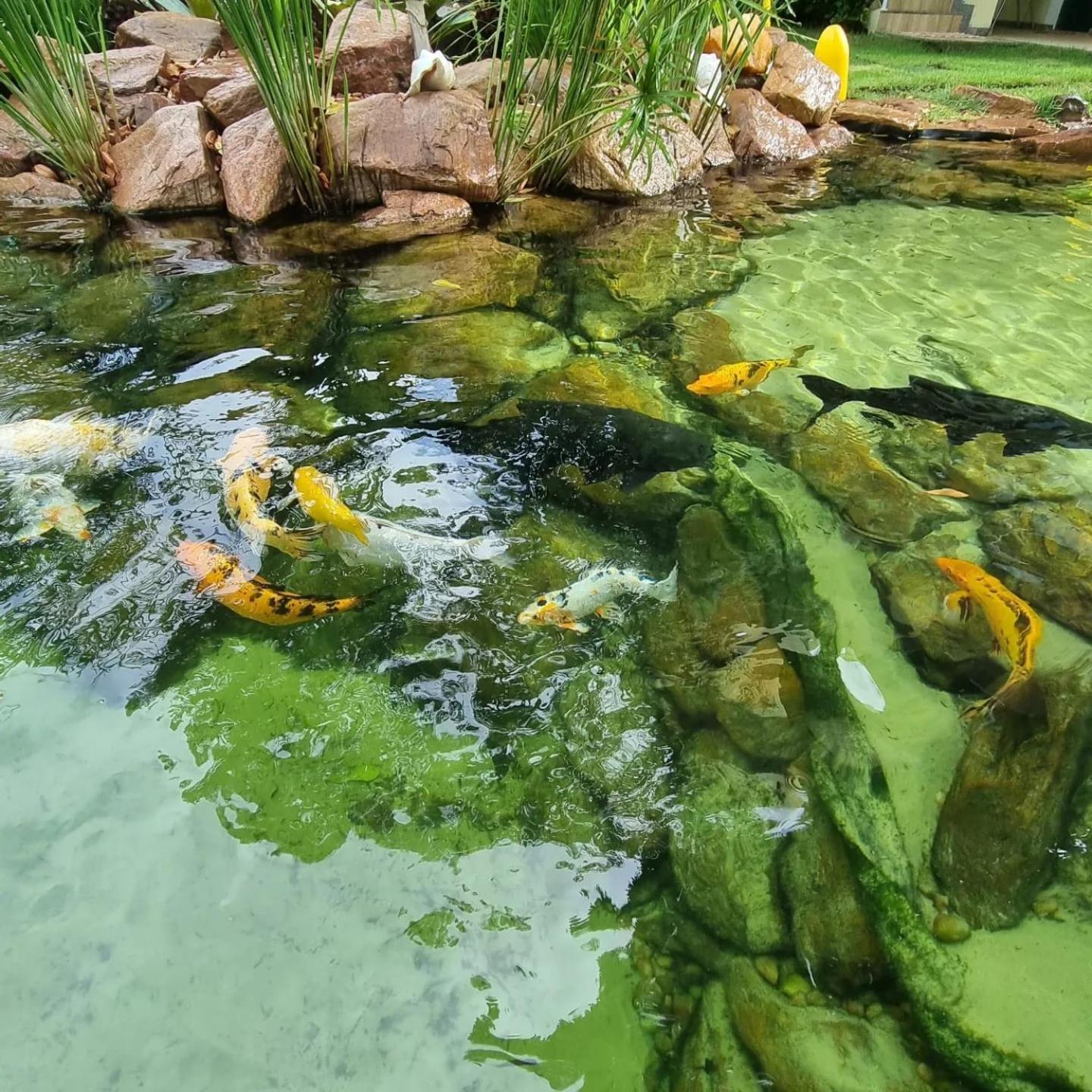 Pousada Pedra Da Lagoa Itacimirim Camaçari Exterior foto